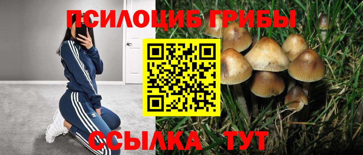 Псилоцибиновые грибы Psilocybine cubensis  Галлюциногенные грибы мухоморы  Вход с VPN  Миллерово 